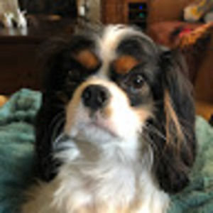 Meet your Posher, Patti